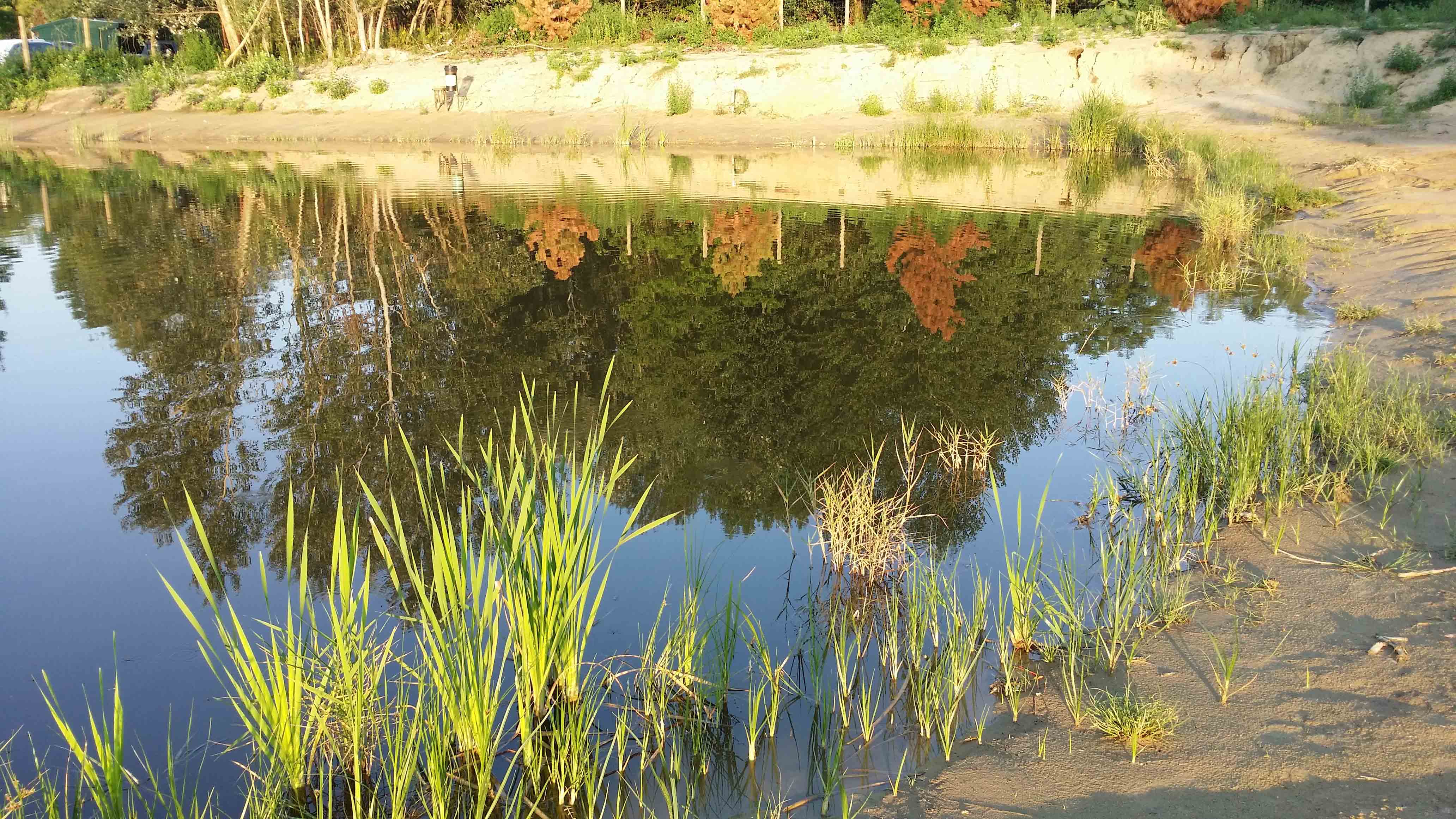 20140809_190917.jpg