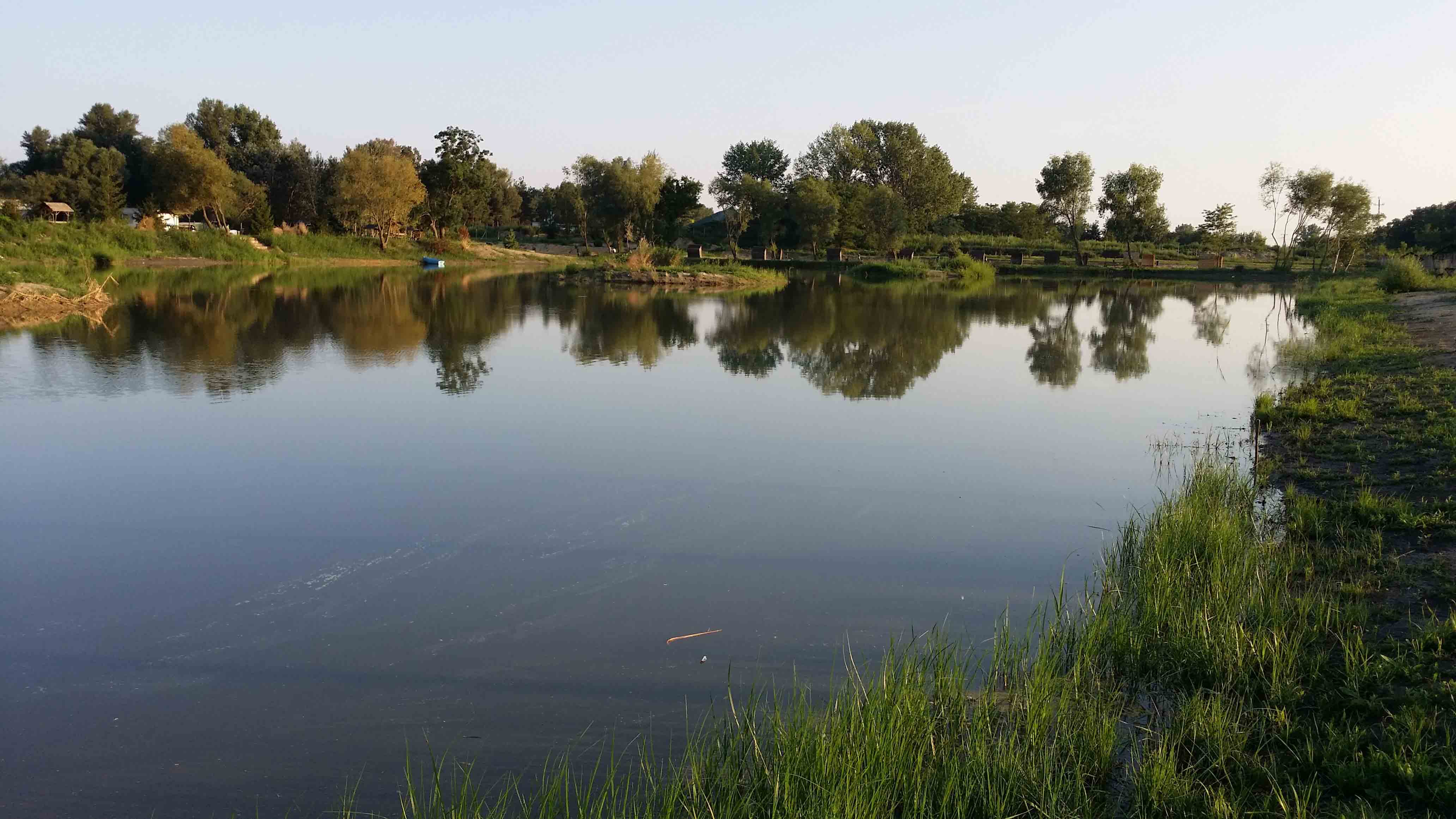 20140809_190044.jpg