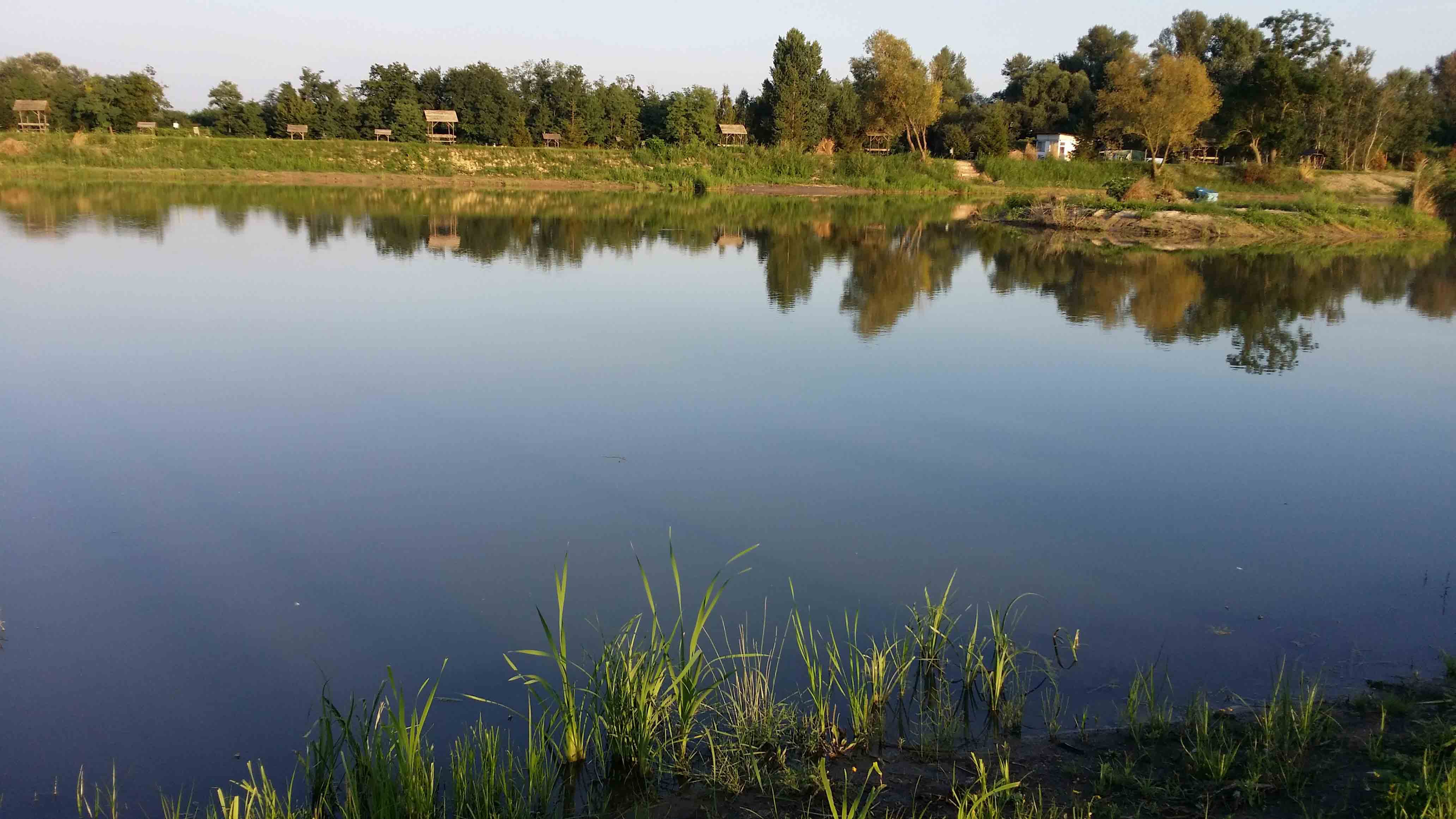 20140809_185951.jpg