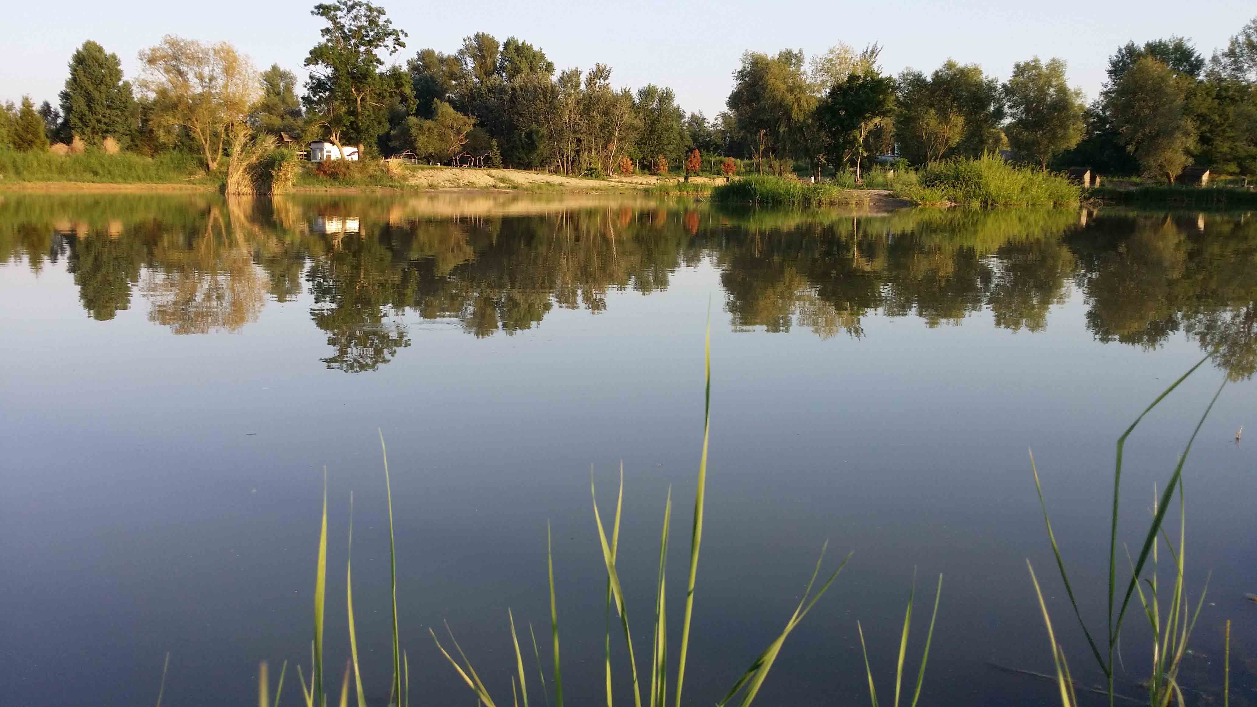20140809_185857.jpg