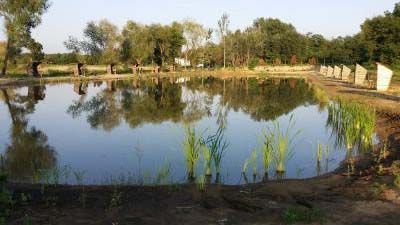 20140809_185501.jpg